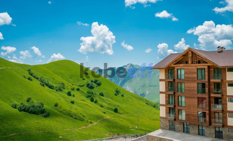 იყიდება ორი ახალიაშენებული ბინები გუდაური